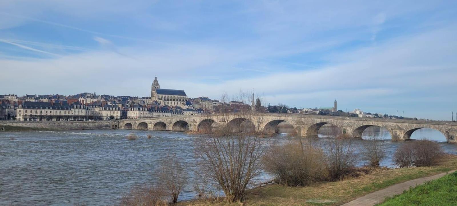 Avec Vue Sur Loire Appartement